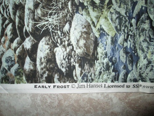 South Seas Imports Cotton Fabric - Early Fost Landscape - 34" SSI - Picture 3 of 4