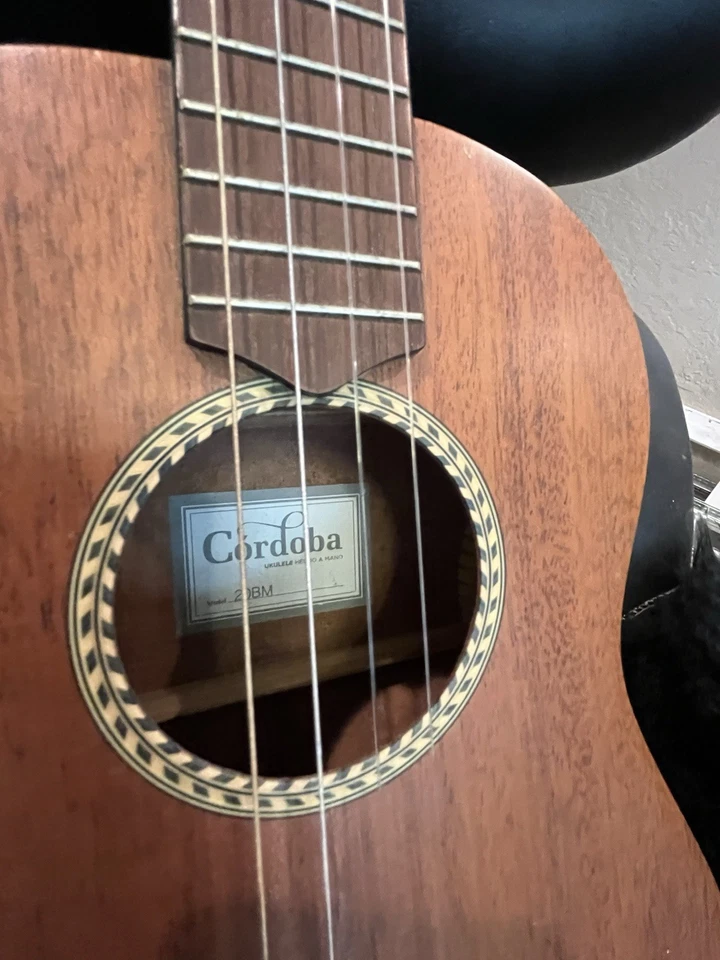 Baritone Ukulele Cordoba 20 MB Includes Brand New Capo And Harmonica - Image 3 of 4