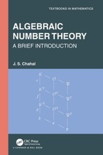 Algebraic Number Theory: A Brief Introduction