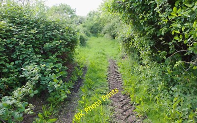 Photo 6x4 Remains of track bed at Severn Bridge Station Purton/SO6704 Th c2015