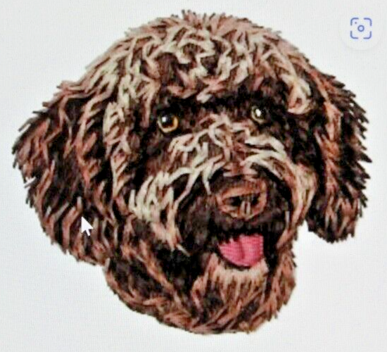 SPANISH WATER Dog Breed Bathroom SET OF HAND TOWELS EMBROIDERED