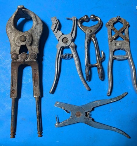 Ferrier tools. Allflex, ideal, duflex, Bull castrating clamp. | eBay