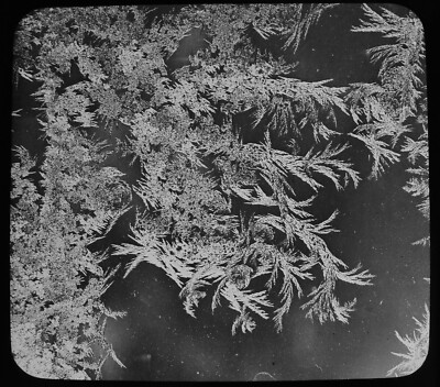 HOAR FROST ON WINDOW PANE NO2 C1877 HEAT Magic Lantern Slide PHOTO