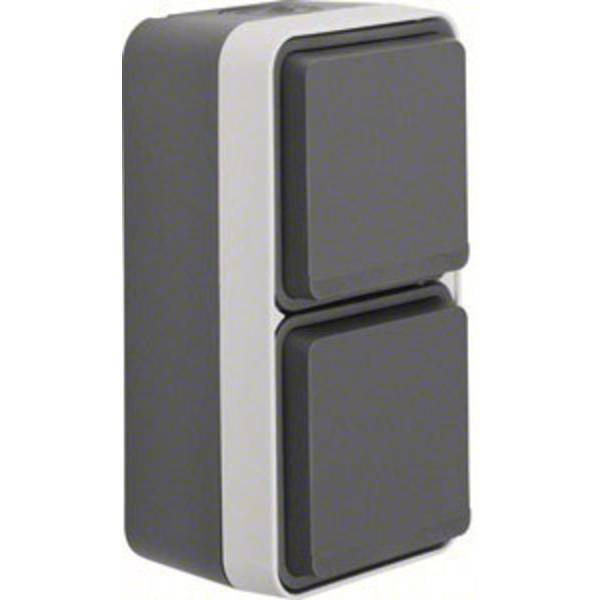 Berker presa doppia superficie w 1 grigio luminescente 47703525