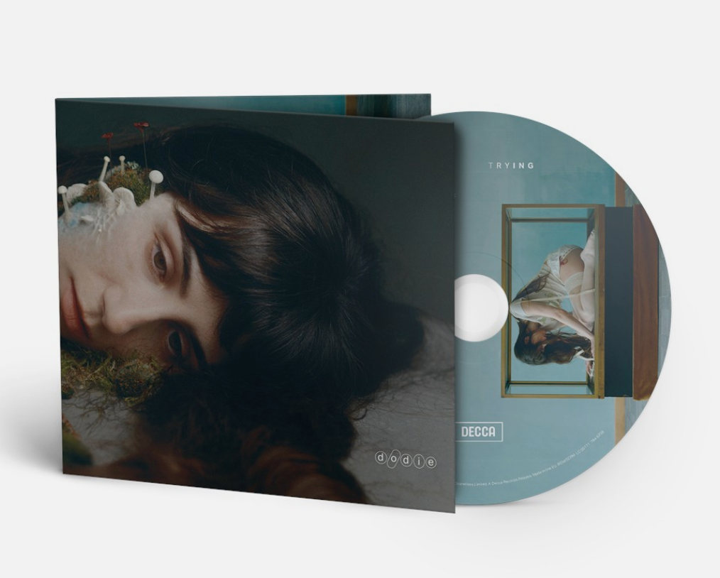 Dodie - Not For Lack Of Trying - CD, Brand New & Sealed! (Doodleoodle)