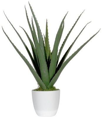 PAPERFLOW Kunstpflanze ''Aloe Vera'' Höhe: 450 mm