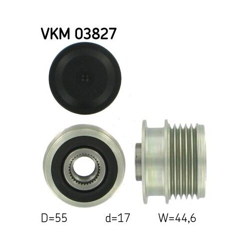 Kit Poulie Roue Libre Alternateur SKF VKM 03100 - Pièce Auto Haute Qualité