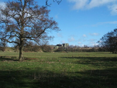 Photo 6x4 Field with trees and molehills Masham L'Ansons feed factor c2009