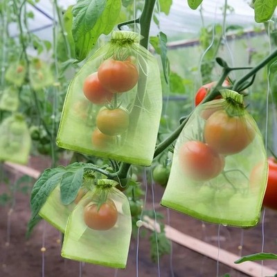 100pcs 6x9 Inch Fruit Protection Bags, Fruit Bags for Fruit Trees, Green Mesh...