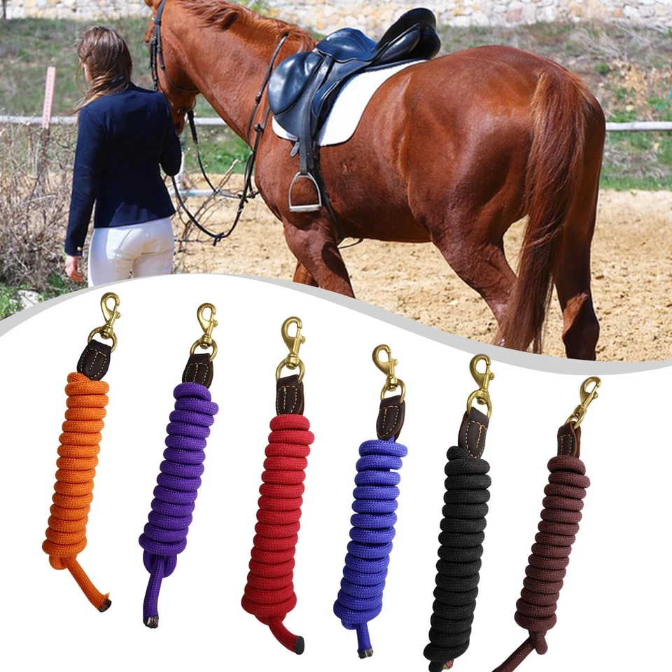Nylon Horse Leading Rope 250cm Heavy Duty Lunge Line for Horse Training - Bild 1 von 1
