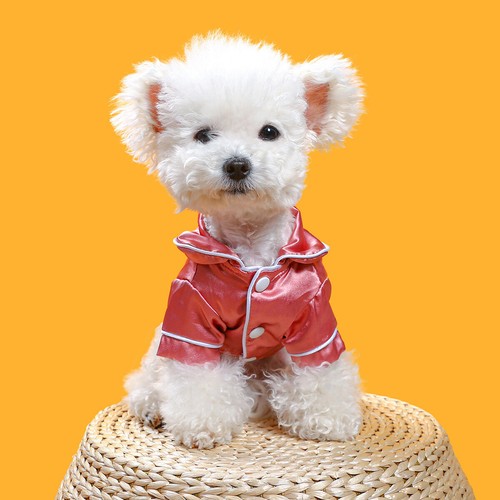 Fashion Pet Dog Clothes For Small Medium Pet Apparel Cat Pajamas Style Sleepwear - Picture 10 of 26