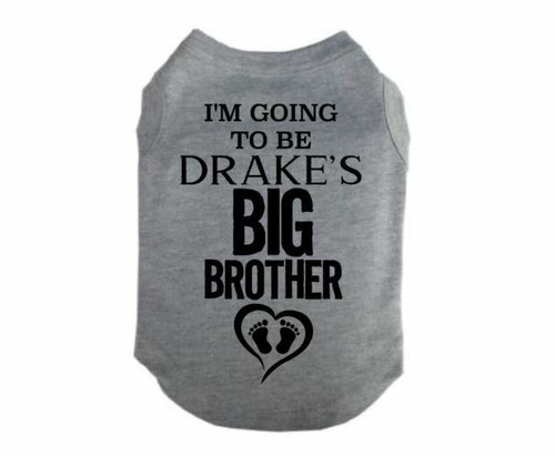 im a big brother dog shirt