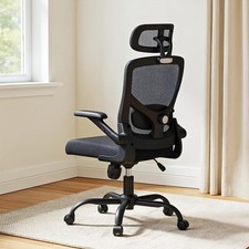 Ergonomic Mesh Office Chair High Back Desk Chair Adjustable Lumbar Support