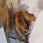 Foto 6 di 8