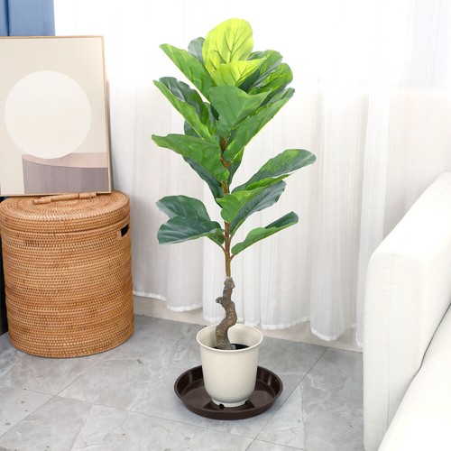 5 Pcs Large Flower Pot Saucer Square Saucers Plant Indoor Tray eBay