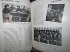 Afbeelding 7 van 12