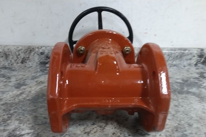 Watts OSY-RW-Gate 3" 3 In Nominal Valve Size 250 Max PSI Cast Iron Gate Valve