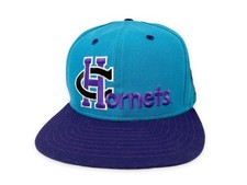 Vintage Charlotte Hornets Hat 90s Snapback Cap New Era NOS H03