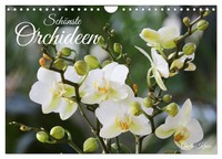 "Calendar 2027 · US Version · Most Beautiful Orchids (Wall Calendar 2027 12\" × 8\""