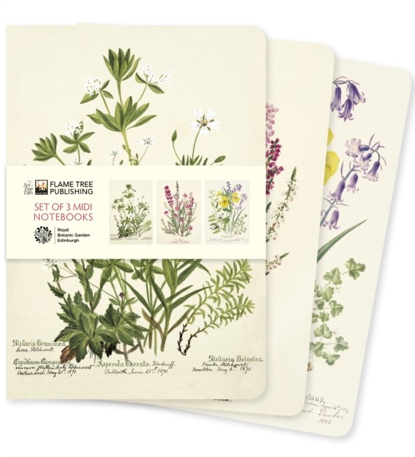 Royal Botanic Garden Edinburgh Set of 3 Midi Notebooks (Notebook / blank book)