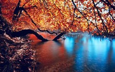 Landscape trees leaves water fall Custom Gaming Mat Desk