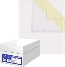 Continuous Computer Paper 9.5"x11" L&R Perf Blank 2-Pt White/Canary, 1700Sheets