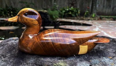 Lockvogel — Taube von Gordon Stennett - Bild 1 von 4