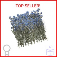 50 Pcs Natural Forget Me Not Pressed Dried Flowers Blue Don't Forget Me Dried Fl