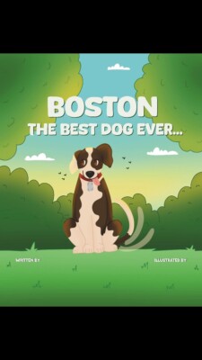Boston The Best Dog Ever