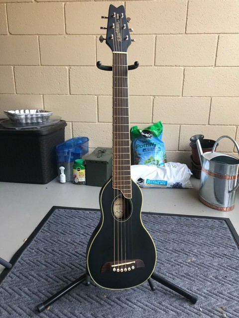 Washburn rover ro10sbk