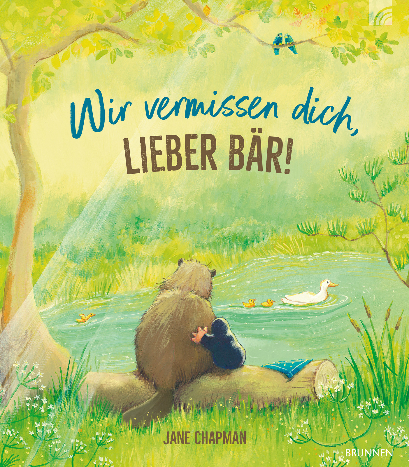 Thumbnail - Jane Chapman / Wir Vermissen Dich, Lieber Bär