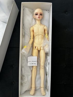 Volks FCS Sdgrb SD 75 Ever Beauty Fair Resin