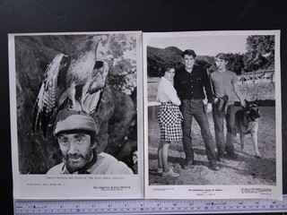 TWENTY TWO 1970s Type 1 TV DISNEY Press Photos (id5343)