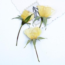 12PCS Real Side Pressed Dried White Rose Bud flower head with leaf stem FHT26