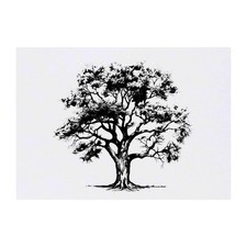 'Tree' Temporary Tattoos / Transfers TO00062111 