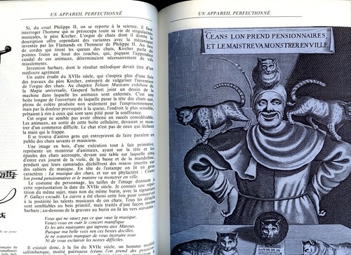 Bibliothèque illustrée du CHAT Juliette Raabe 2 Volumes - Picture 4 of 12