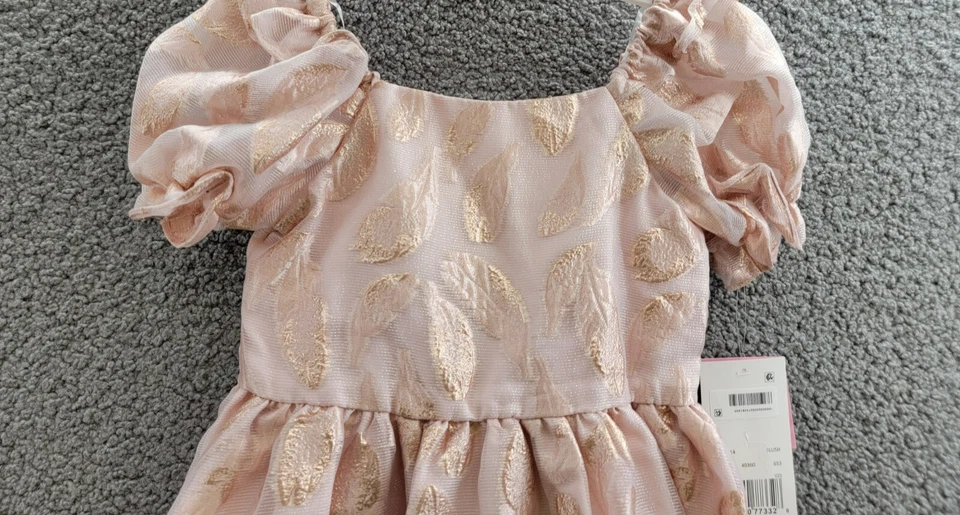 Vestido Organza Burnout Manga Abullonada Ediciones Raras Niñas Pequeñas 6 Rubor Cremallera Trasera Foto 3 de 4