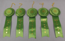Green 6th Place Rosette Ribbons 3" × 10" – Cup Center – Bulk Lot of 5