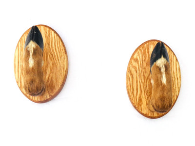 Taxidermy Deer Hoof Gun Rack on Oak Plaques Deer Foot Deer Feet