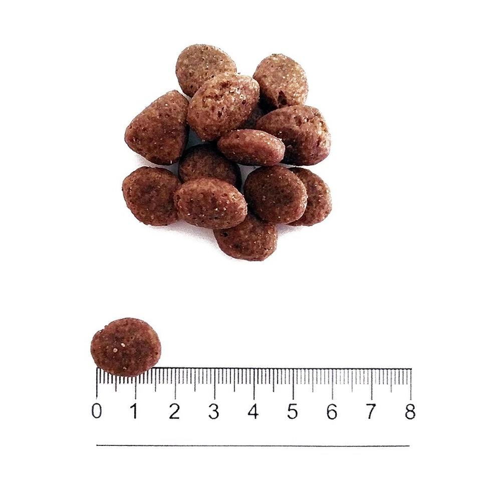 Prolife Dog Grain Free Sensitive Medium Large Maiale e Patate - Sacco da 10 kg - Immagine 2 di 2