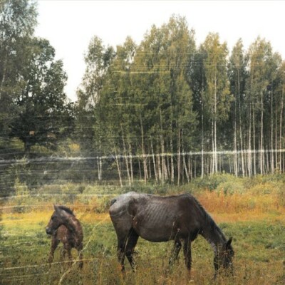 Old Pride by Pianos Become the Teeth (Record, 2010)