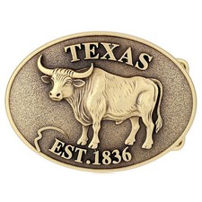 TEXAS Belt Buckle Western Cowboy Cowgirl Native American Motorcyclists TX-04-G 