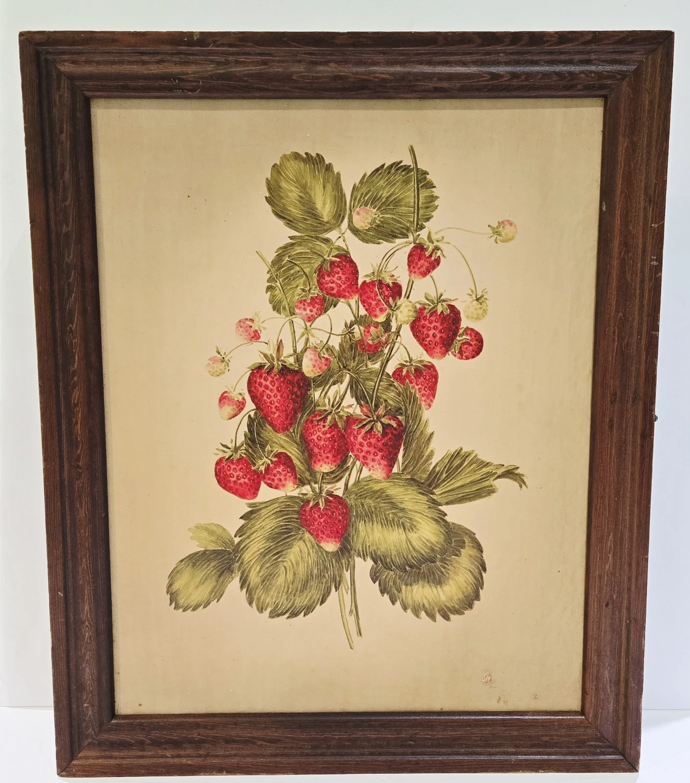 Three Mountaineers Wood Wall Spice Rack & Herb Cabinet Botanical Strawberry USA
Opens in a new windo