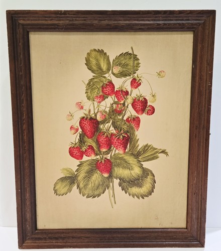 Three Mountaineers Wood Wall Spice Rack & Herb Cabinet Botanical Strawberry USA