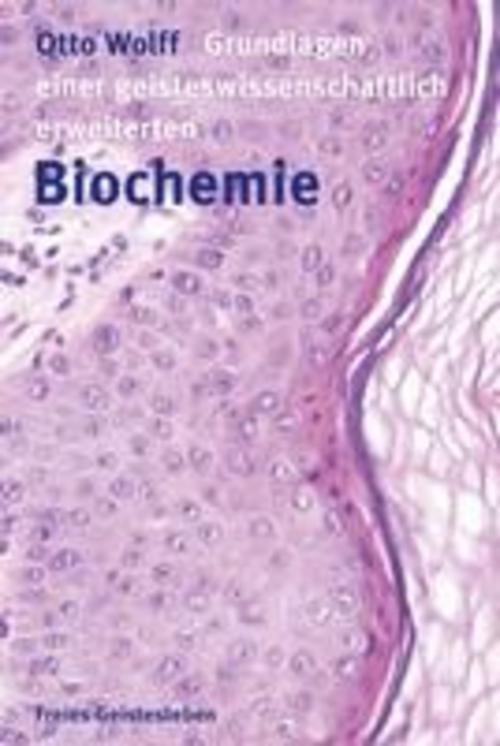 Thumbnail - Grundlagen Einer Geisteswissenschaftlich Erweiterten Biochemie, Otto