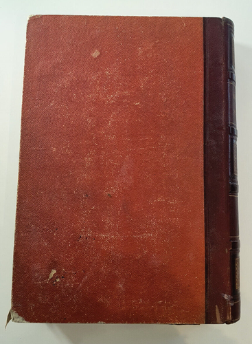 VERSCHIEDENE AUTOREN - Der Teufel in PARIS - Band 1 - Paris und die Pariser - 1845 - Bild 18 von 19