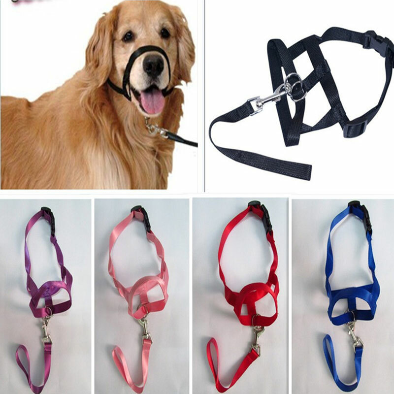 ❀ Training Leash Leader Leader Belt Head Collar Dog Collar Muzzle Dog  Halter
