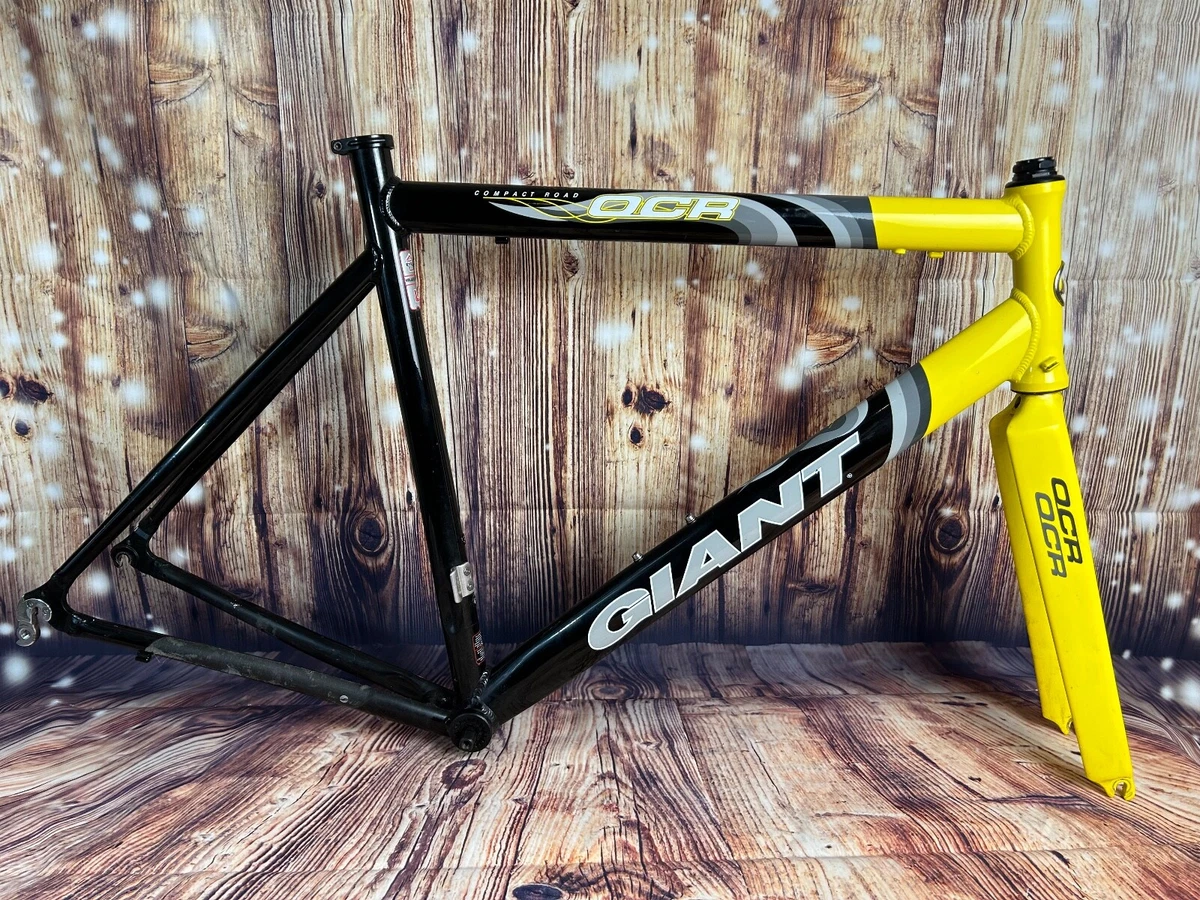 Giant 2025 aluminum bike