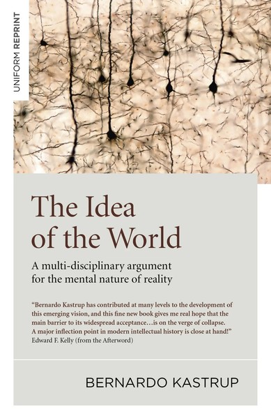 Idea Of The World, The | Bernardo Kastrup | Englisch | Taschenbuch | 2019-image