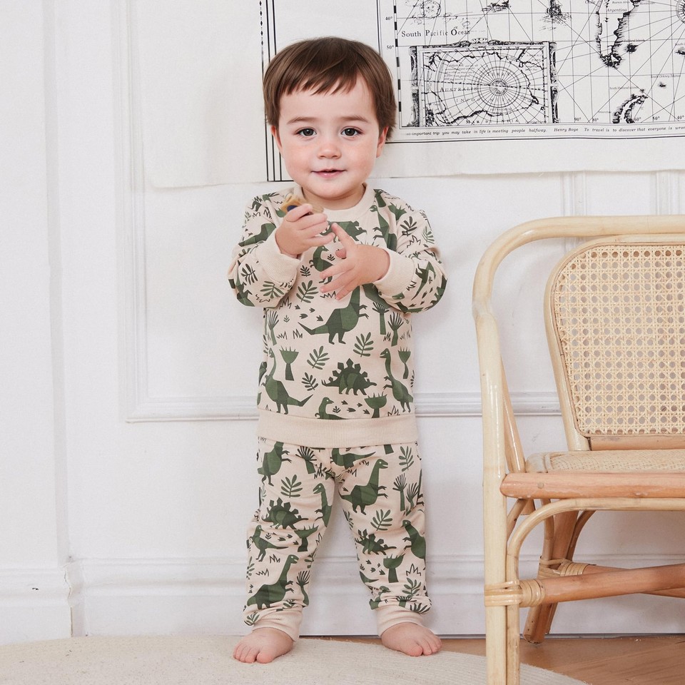 Toddler Boys Clothes Dinosaur Print 6 12 18 24 Months 3T 4T Outfits